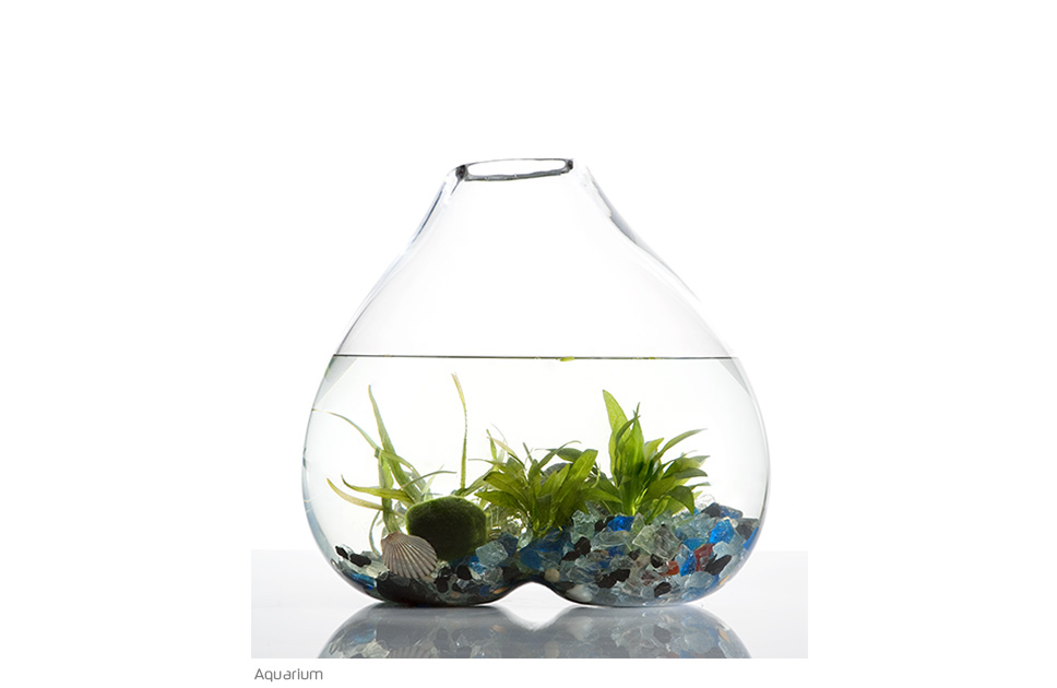 Terrarium - Natureza escultórica em vidro por Paula Hayes Terrarium - Natureza escultórica em vidro por Paula Hayes