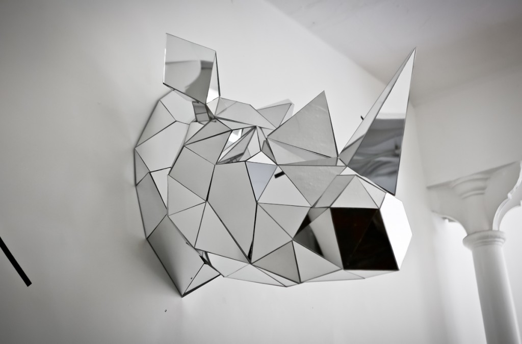 rinoceronte-espelhado-por-arran-gregory